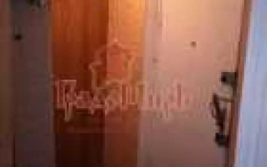 Л. Толстого улица, 19