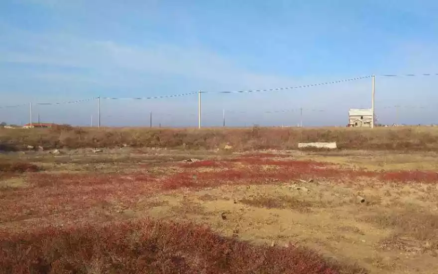 Парусная улица