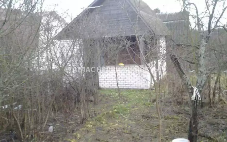 Осиповская улица