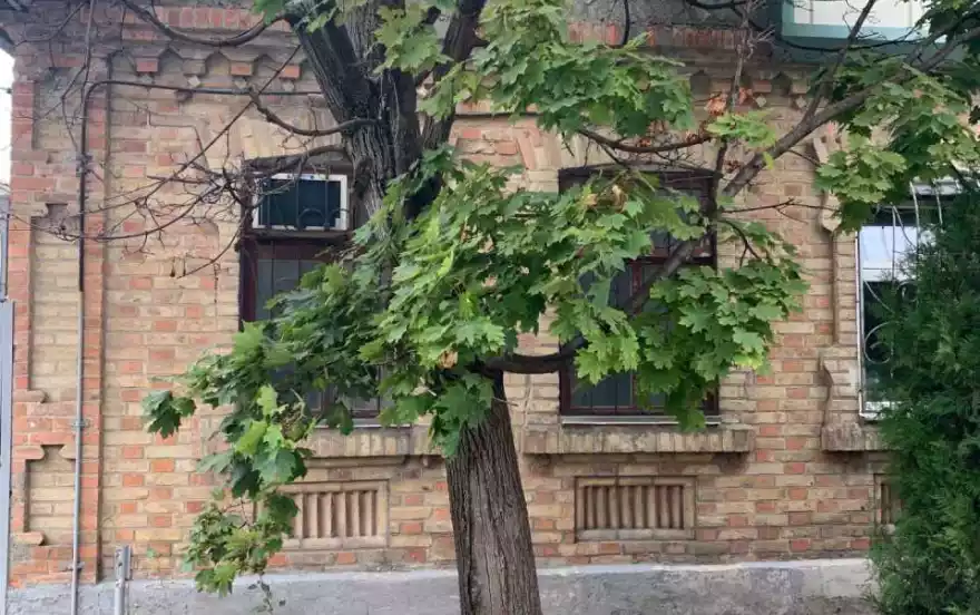 Горького улица