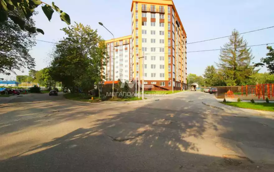 Александра Невского улица, 220