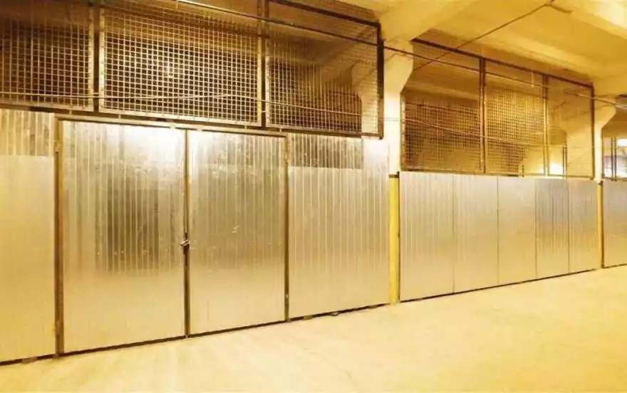 Рябиновая улица, 65