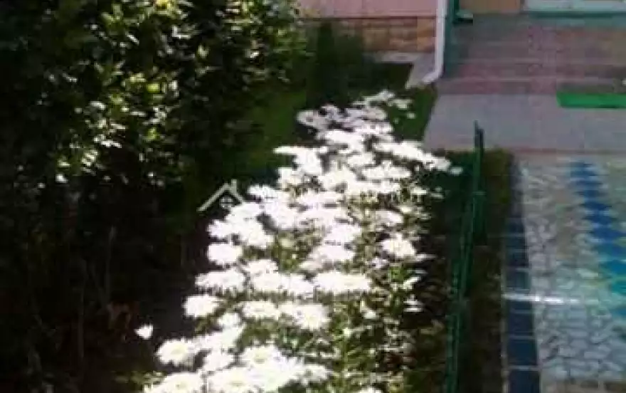 ул Лермонтова