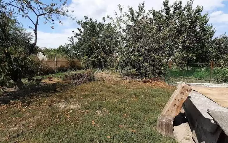 улица Дружбы
