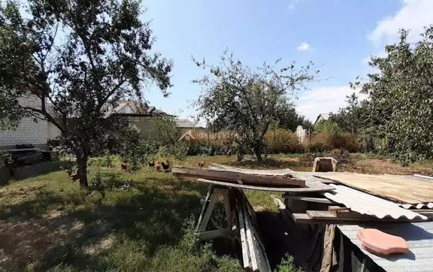 улица Дружбы