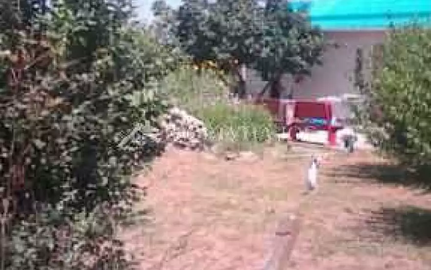 Новая улица
