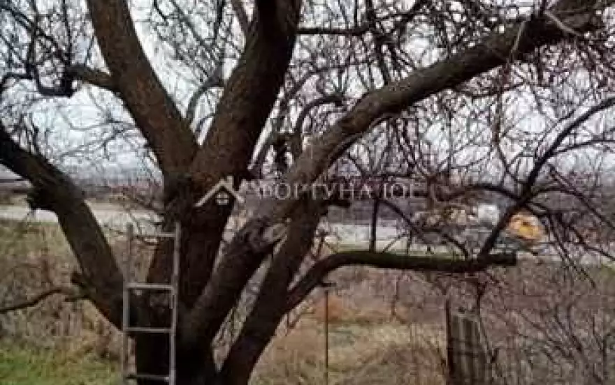 ул Бороздинская