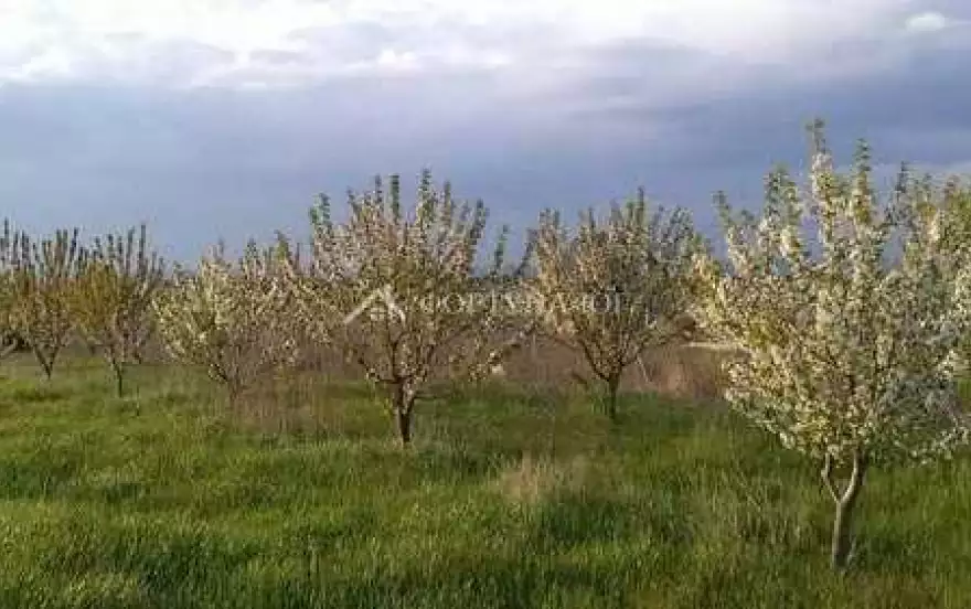 ул Розовая