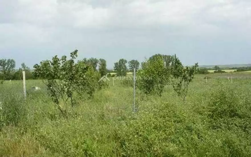 ул Розовая