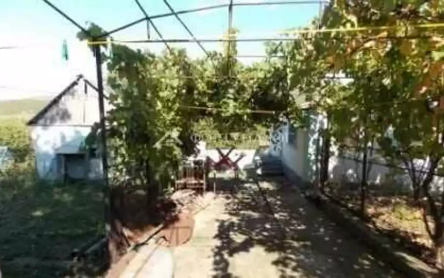 Заповедная улица