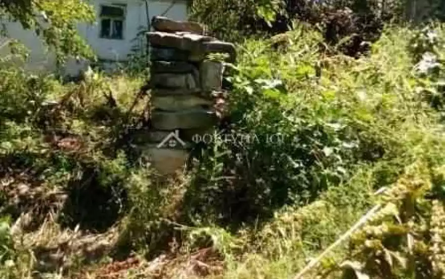 Зелёная улица