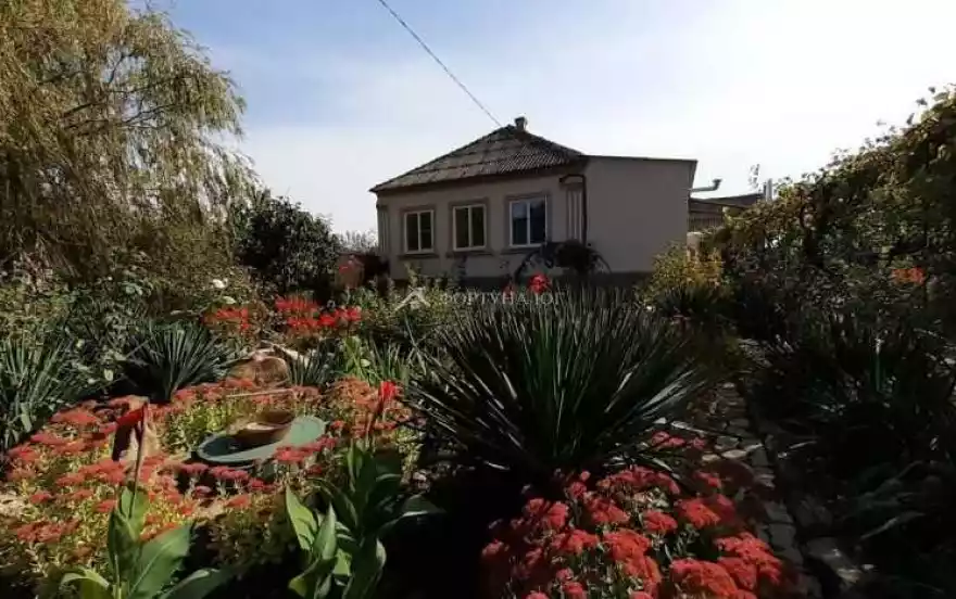 Полевая улица