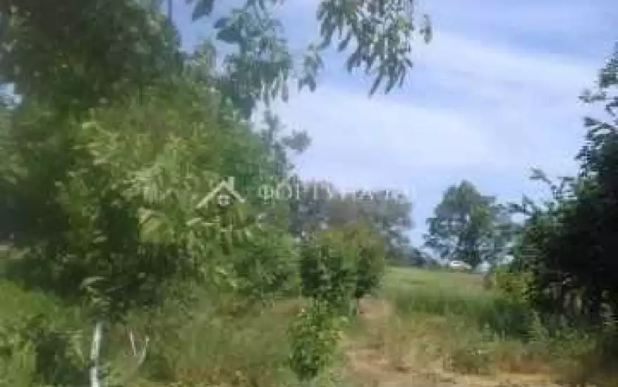Солнечная улица