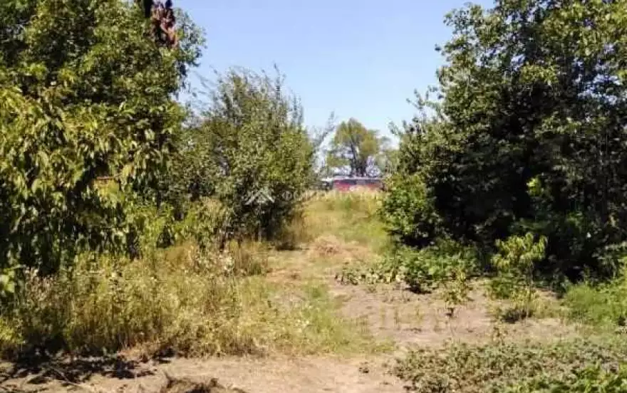 Солнечная улица