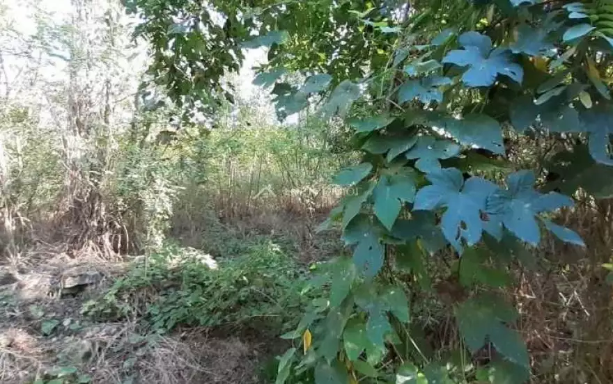 ул Шоссейная