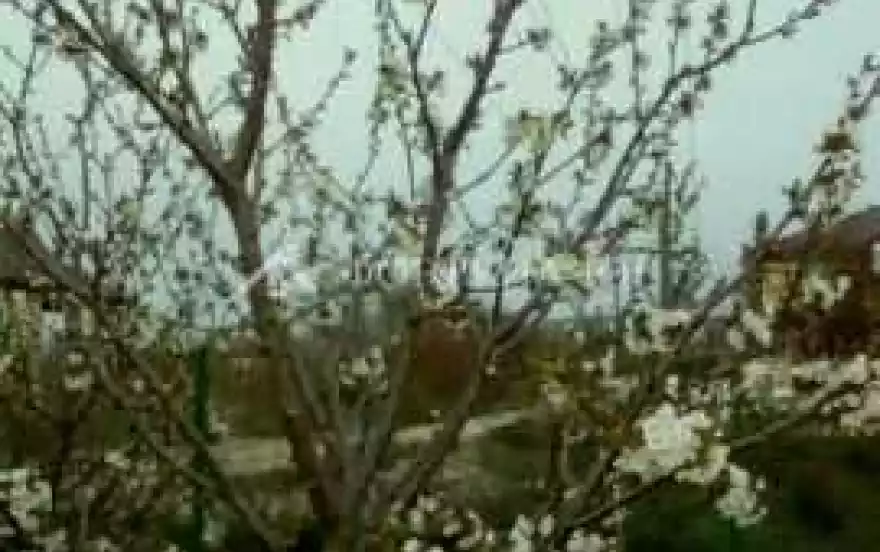 ул Коммунаров