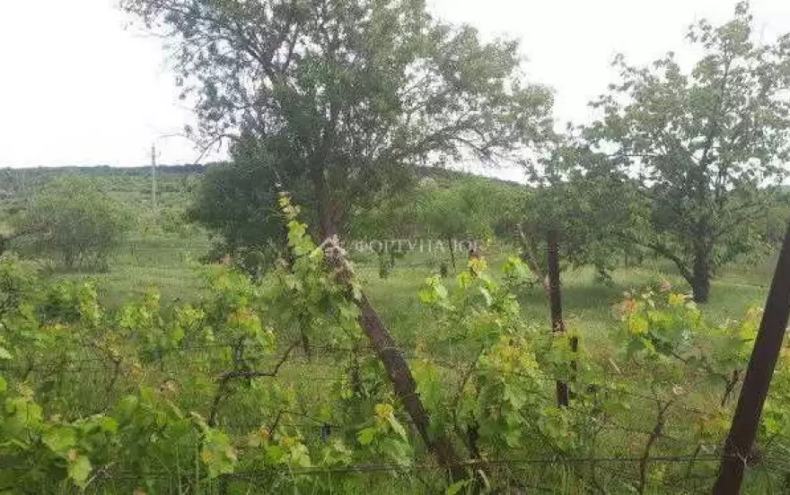 Солнечная улица
