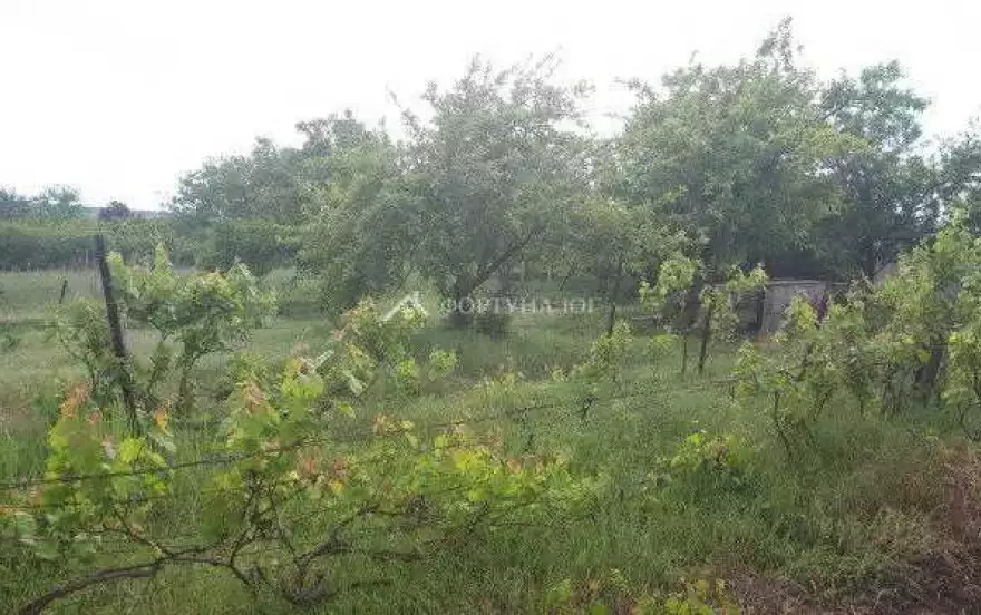 Солнечная улица