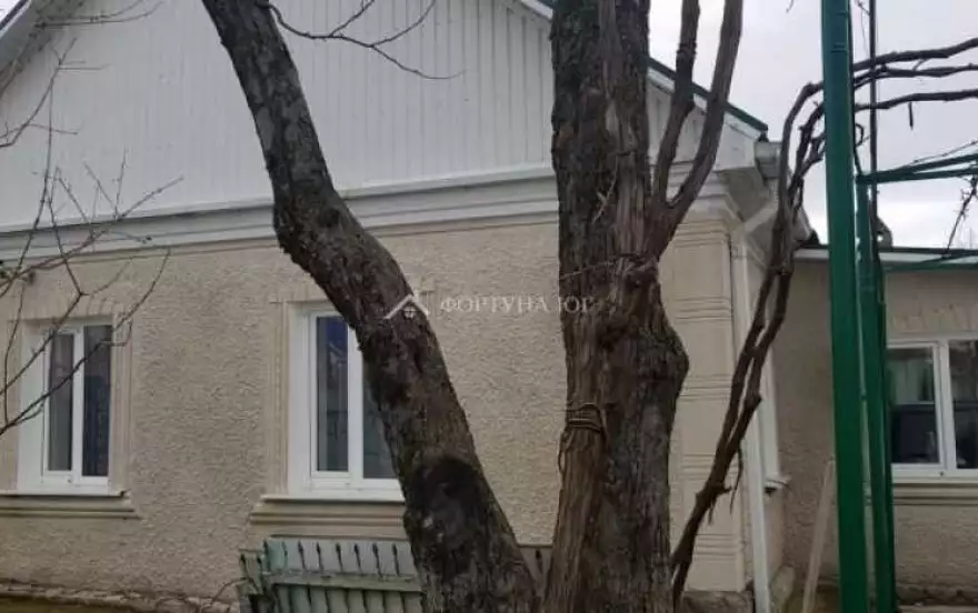 Новая улица