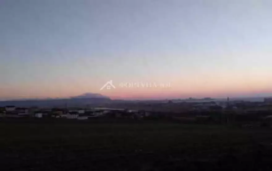 ул Каштановая