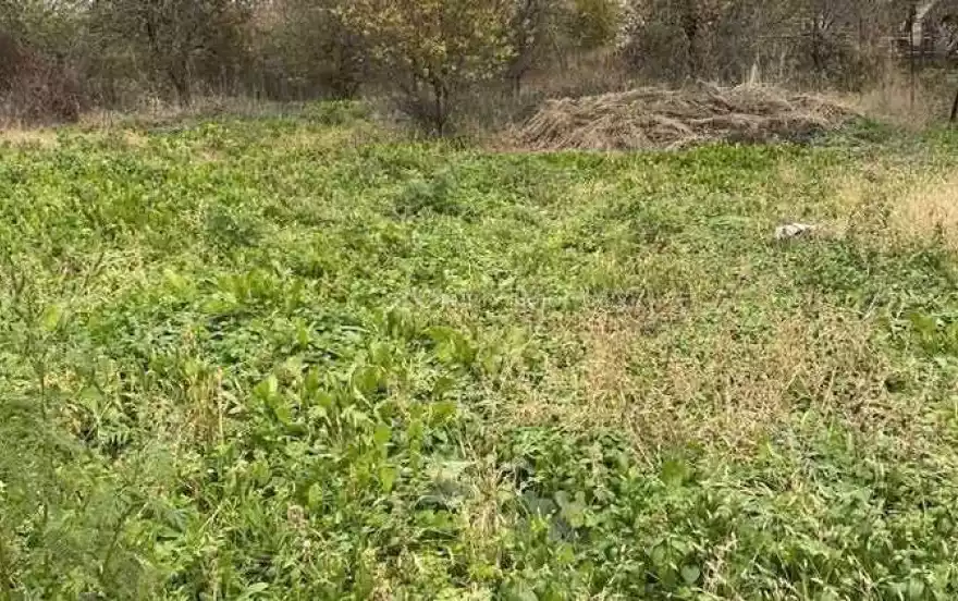 Российская ул