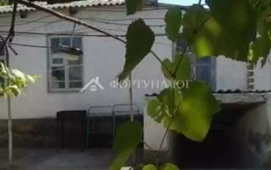 Заповедная улица