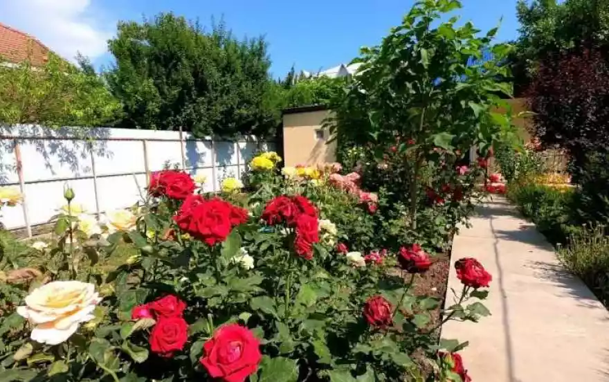 Юганский проезд