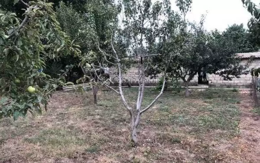 Советская ул