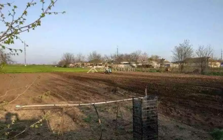 Светлая улица