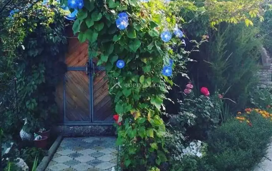 Молодежная ул