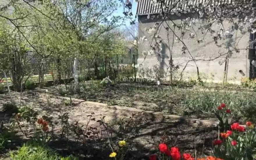 Виноградная улица