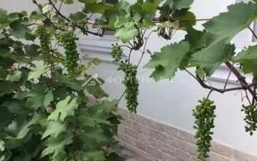 ул Маяковского