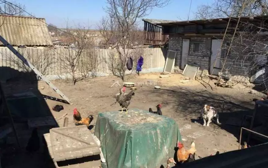 Зеленая ул