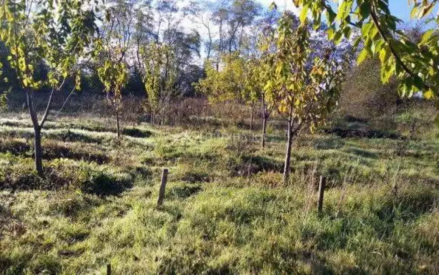 Красная улица