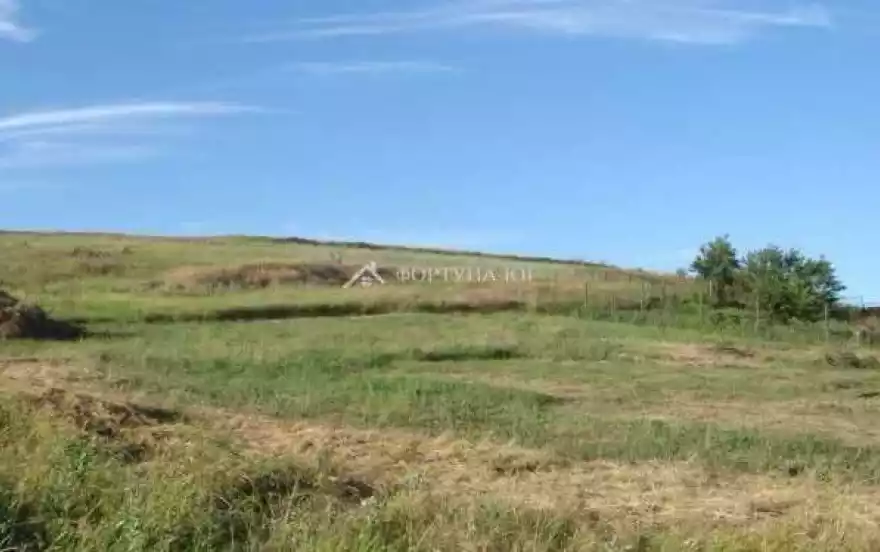 Тихая улица