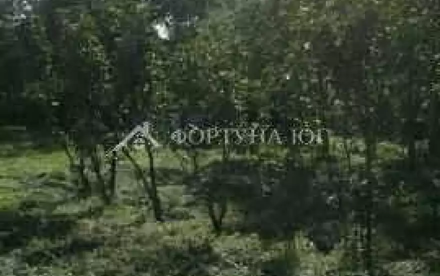 улица Маяковского