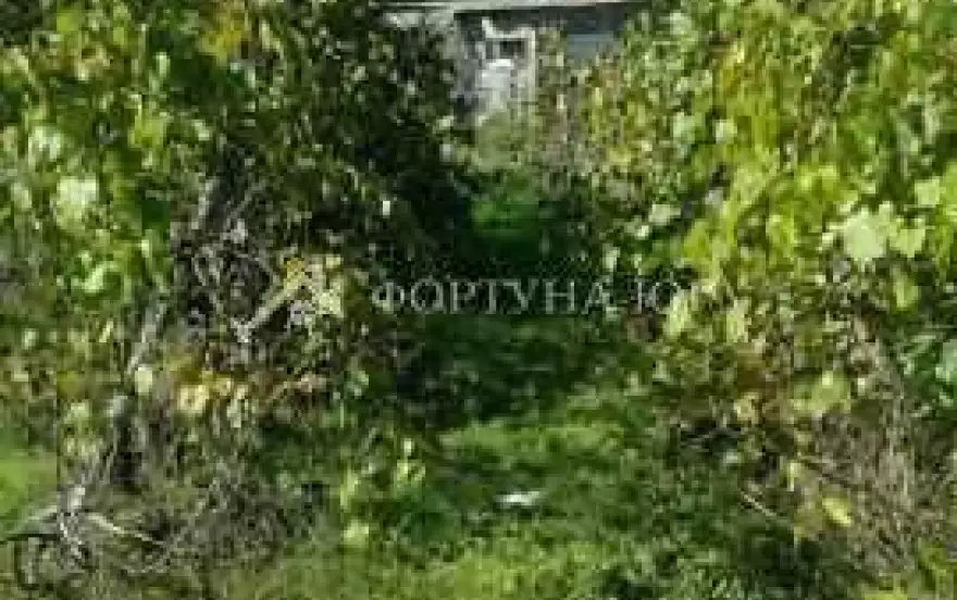 улица Маяковского