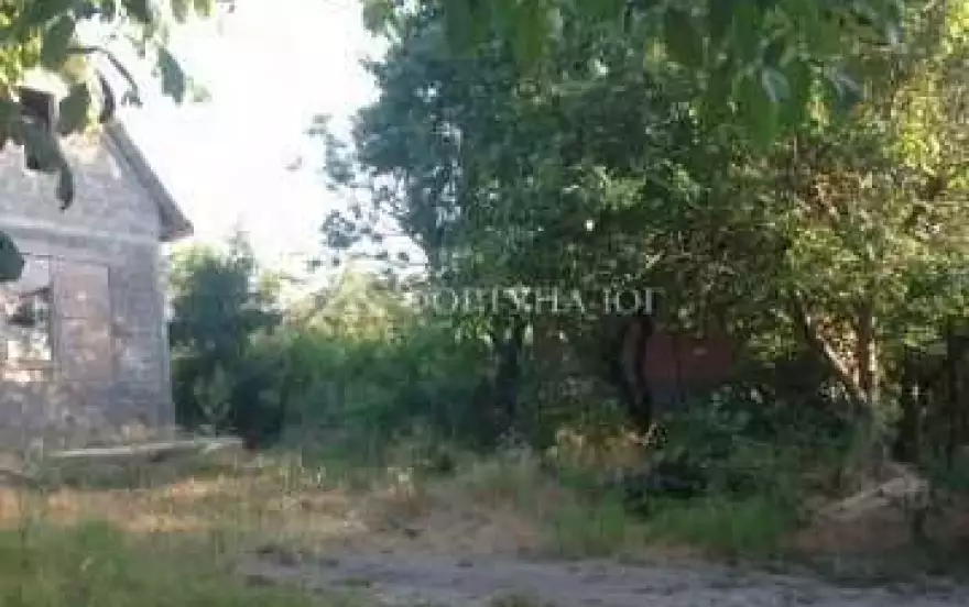 Родниковая улица