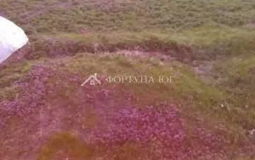 ул Пирогова