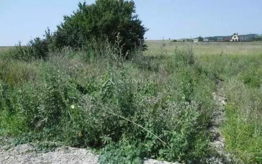 Новая улица