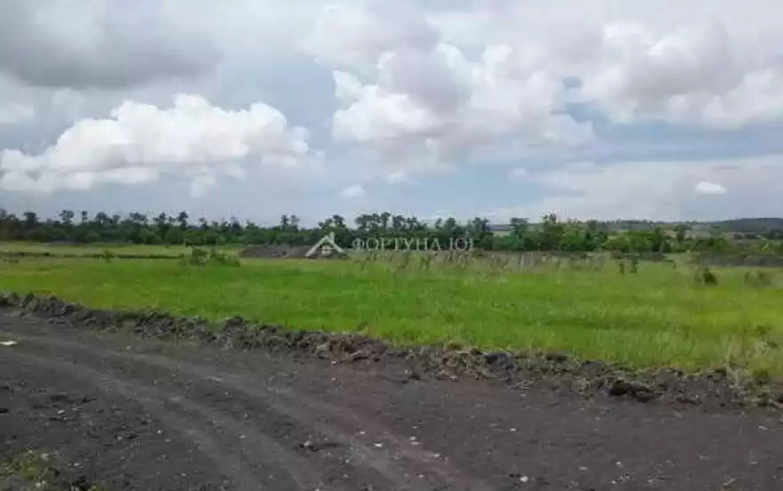 здоровье