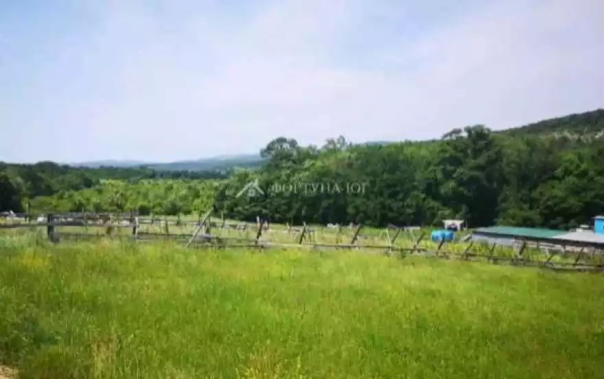 Миндальная