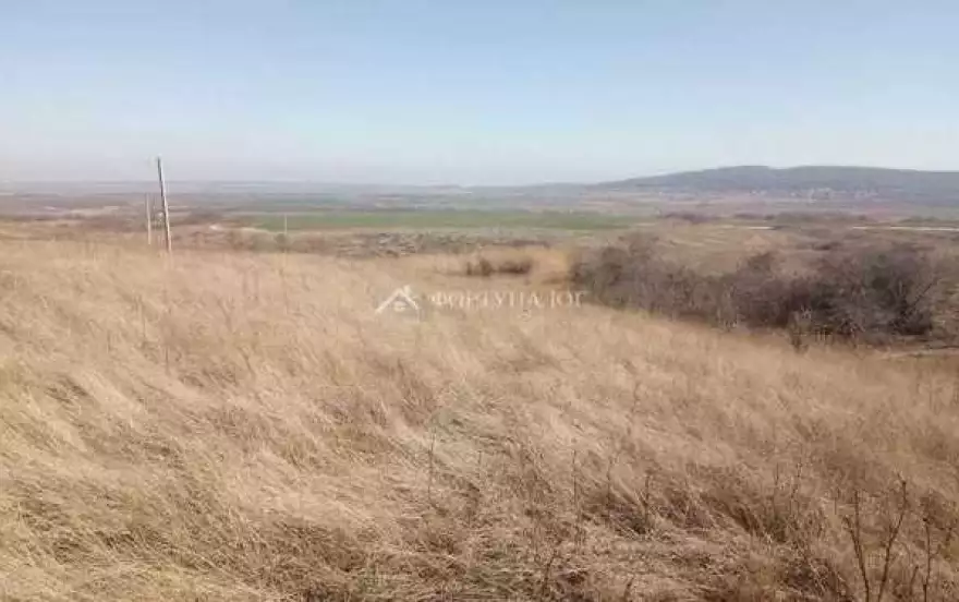Родниковая ул