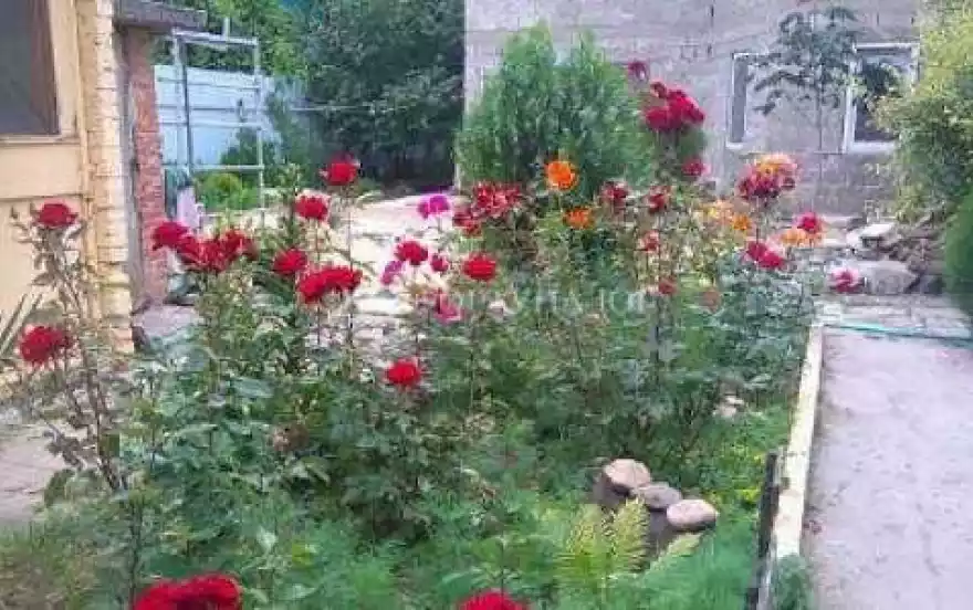 Кооперативная улица