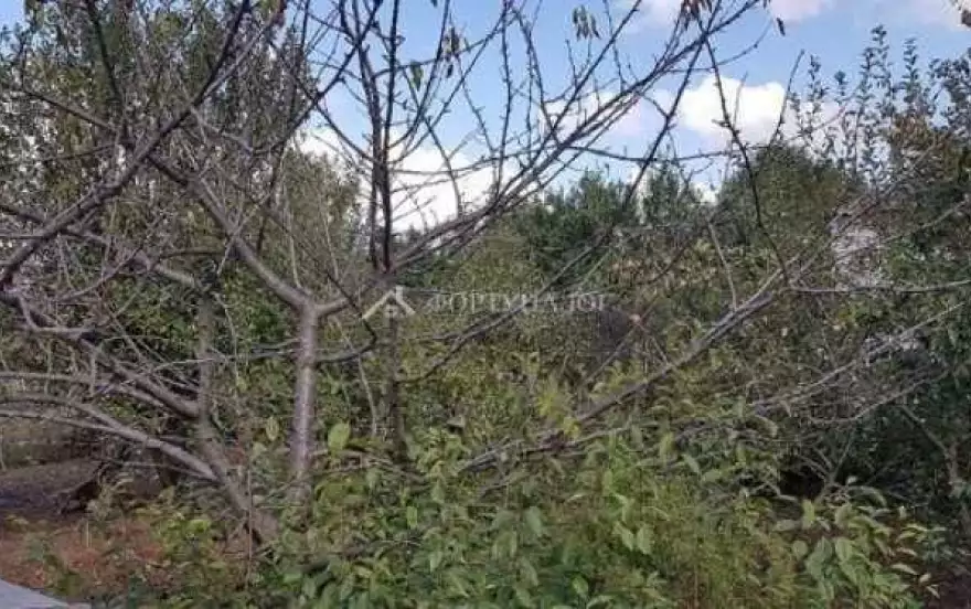 ул Азовская