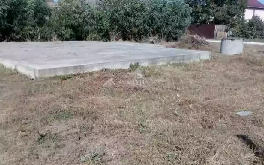 ул Виноградная