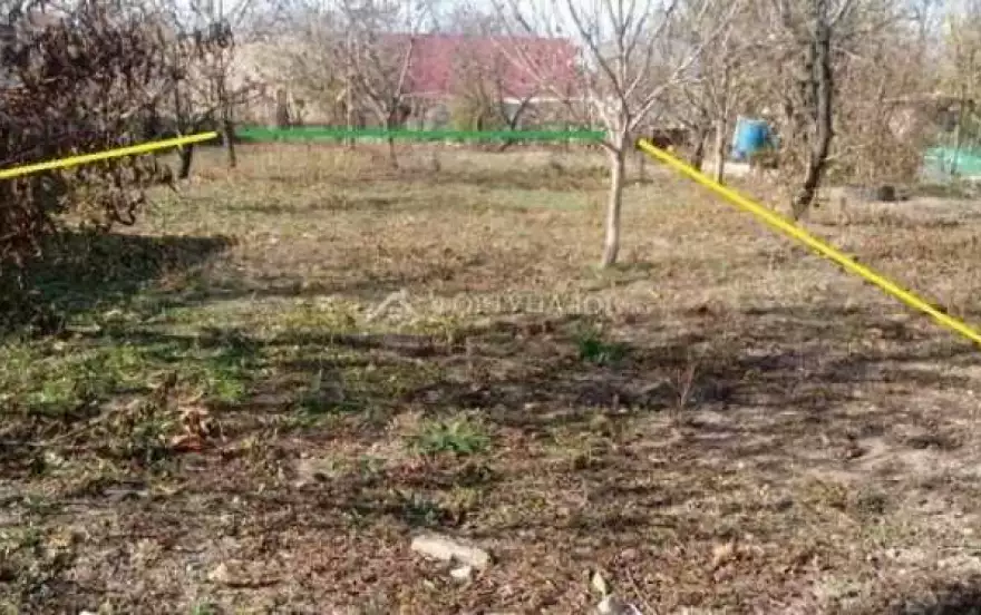ул Полевая