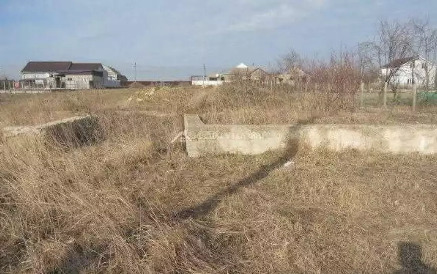 Виноградная улица