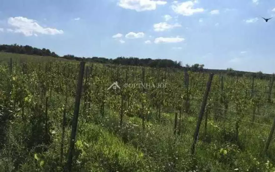 ул Новороссийская