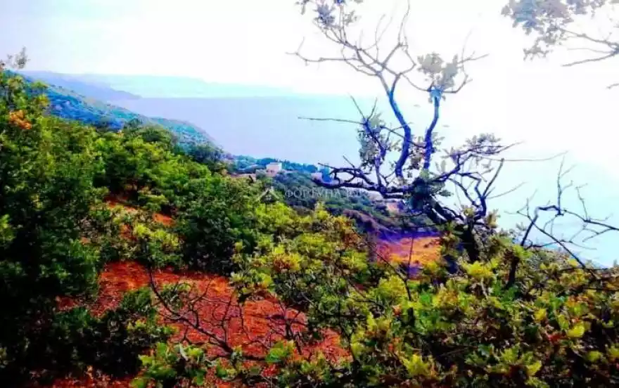 Можжевеловый переулок